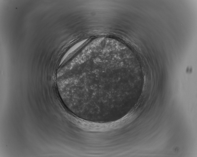 X0000097290048200803141520