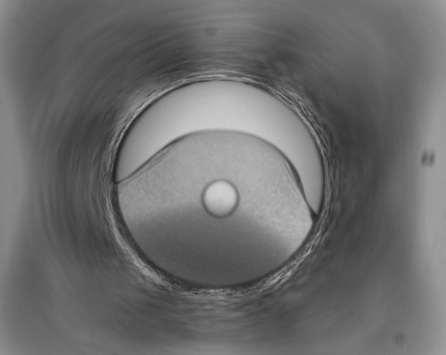 X0000097290049200803141519