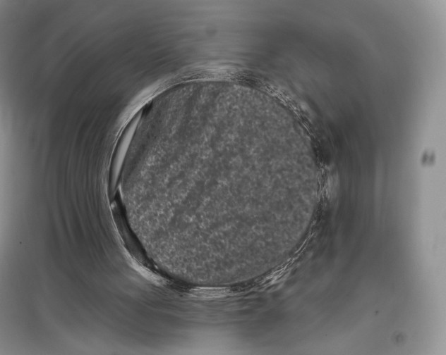 X0000097290051200803141519