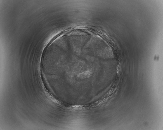 X0000097290052200803141519