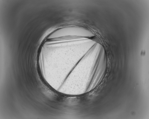 X0000097290054200803141519