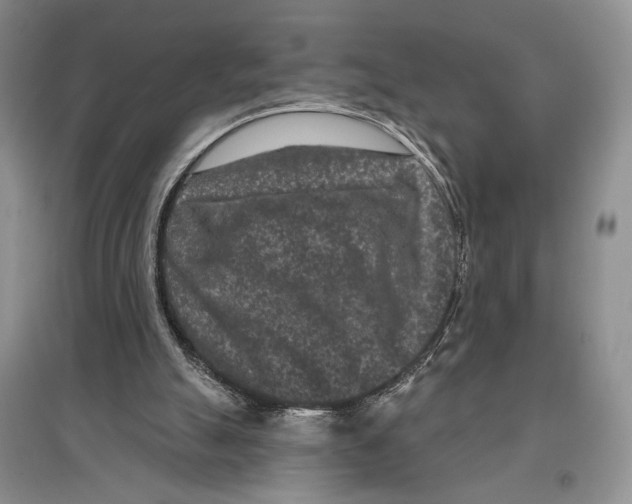 X0000097290055200803141519