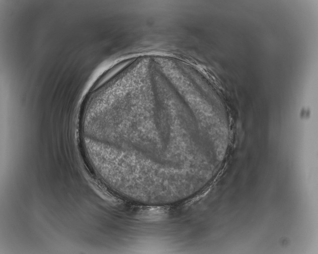X0000097290056200803141519