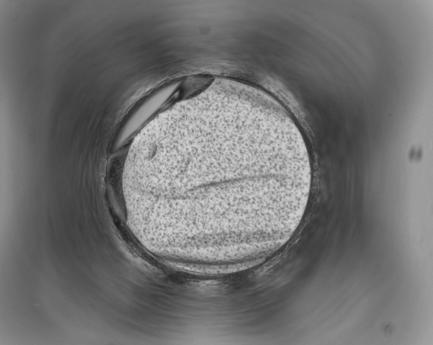 X0000097290058200803141519