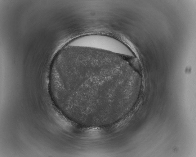 X0000097290059200803141519