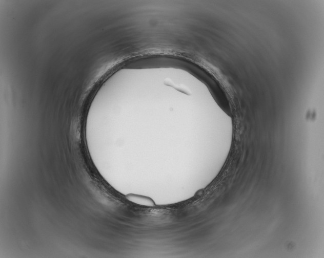 X0000097290060200803141519