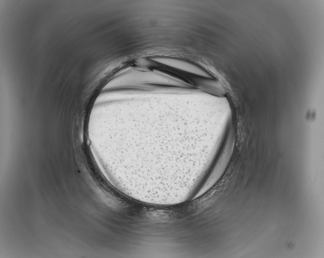X0000097290062200803141519