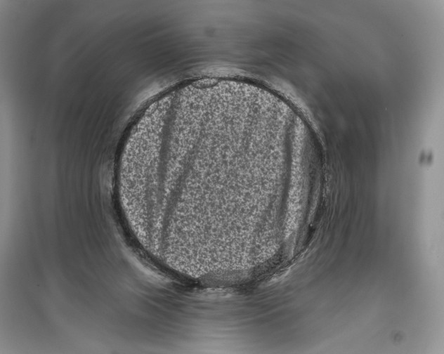 X0000097290063200803141519