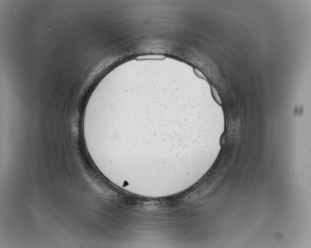 X0000097290064200803141519