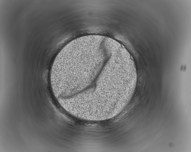 X0000097290066200803141519