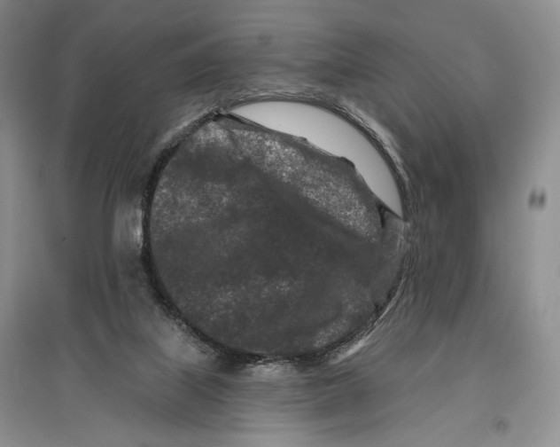 X0000097290067200803141519