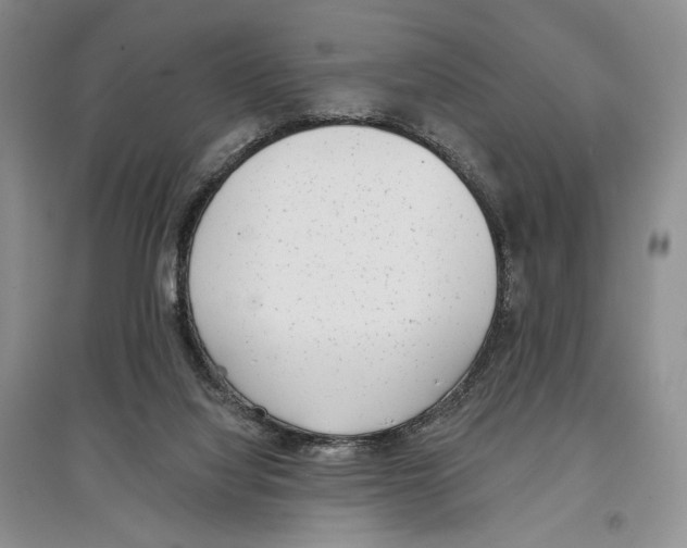 X0000097290068200803141519