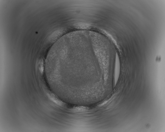 X0000097290069200803141520