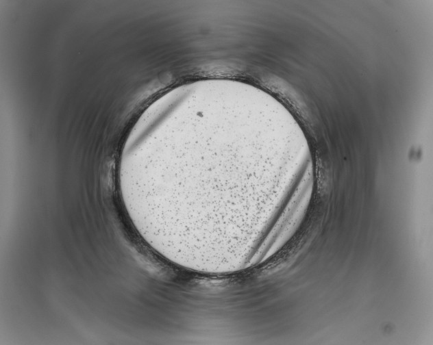 X0000097290071200803141520