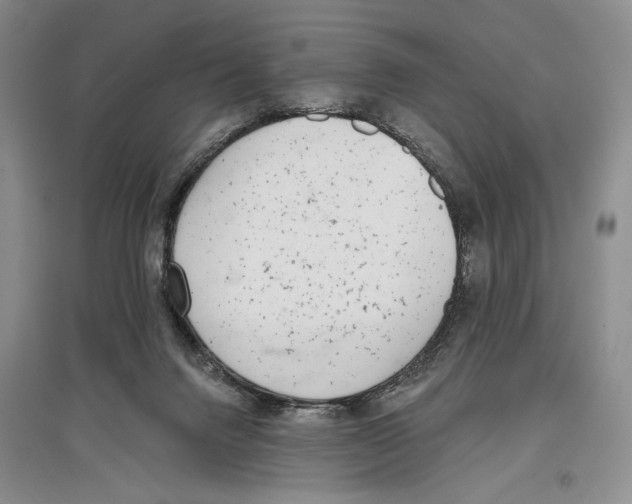 X0000097290072200803141520