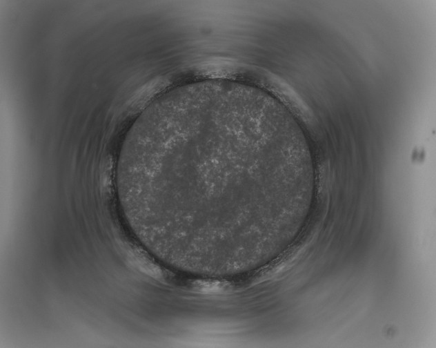 X0000097290073200803141520