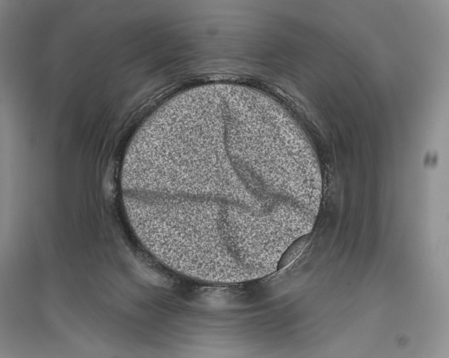 X0000097290074200803141520