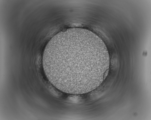 X0000097290079200803141520