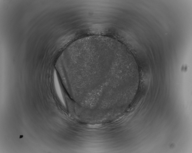 X0000097290080200803141520