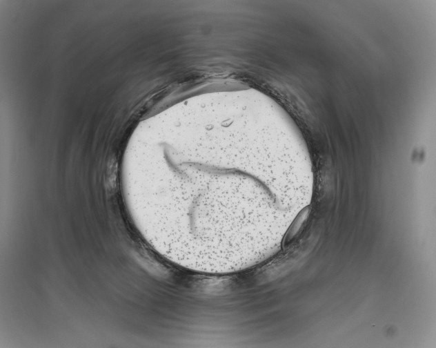 X0000097290081200803141520