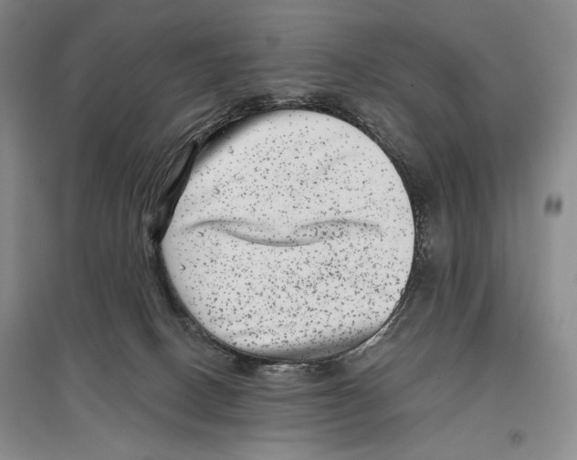 X0000097290082200803141520