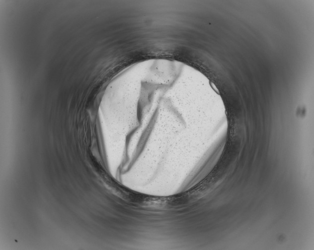 X0000097290084200803141520