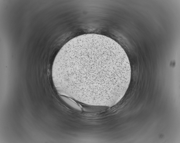 X0000097290085200803141520