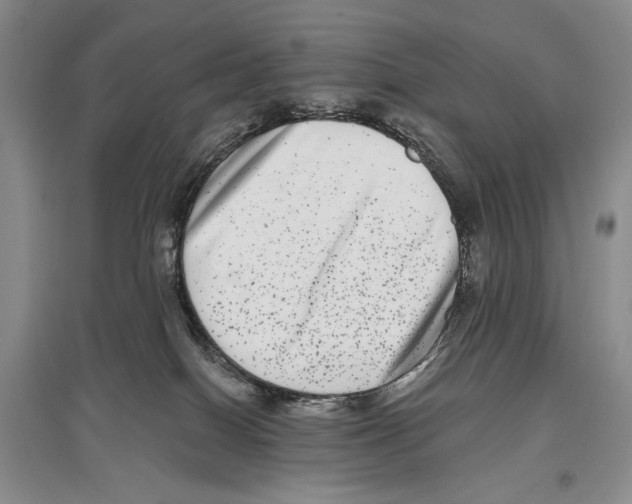 X0000097290086200803141520