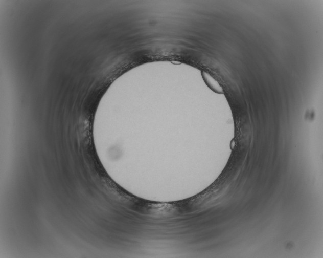 X0000097290087200803141520