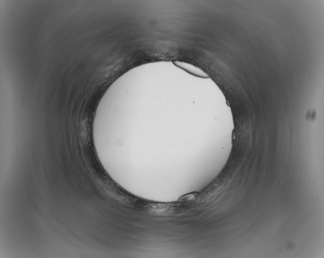 X0000097290088200803141520