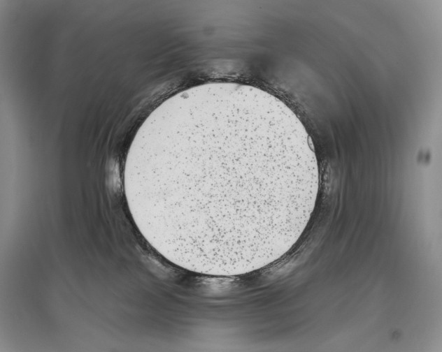 X0000097290089200803141520