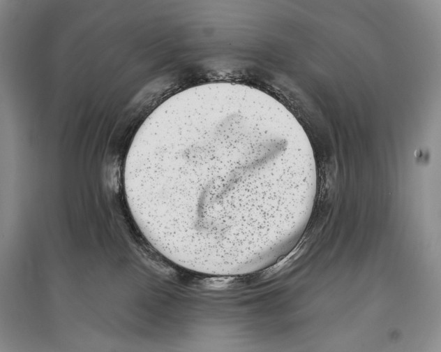 X0000097290090200803141520