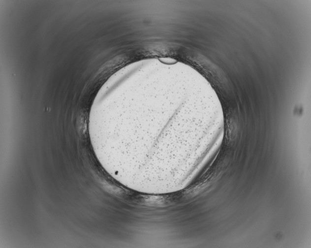 X0000097290091200803141520