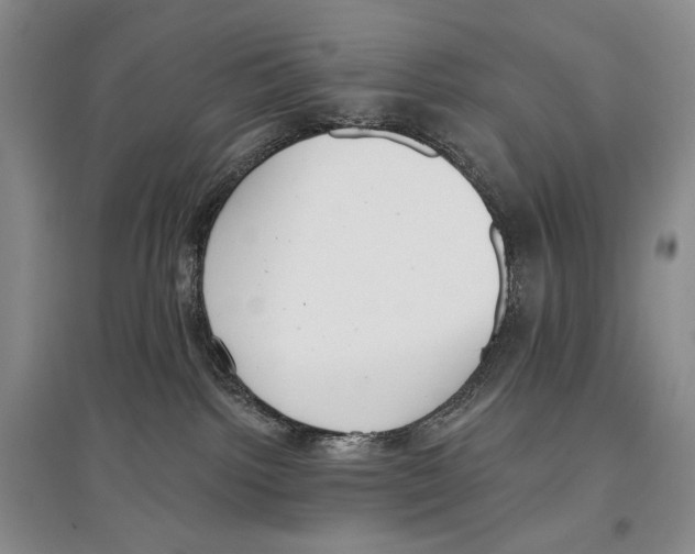 X0000097290092200803141520