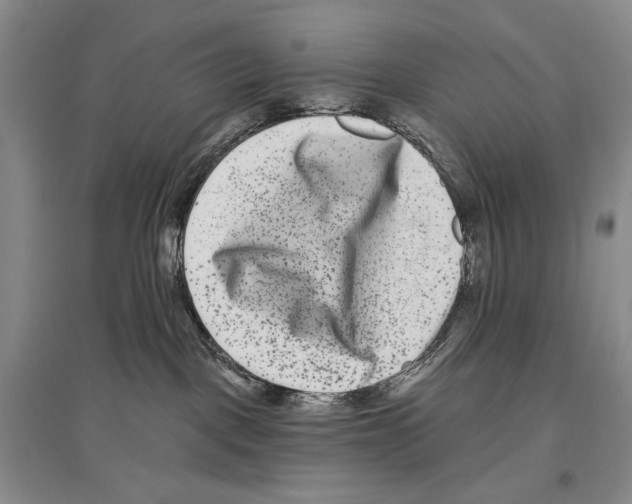 X0000097290093200803141520