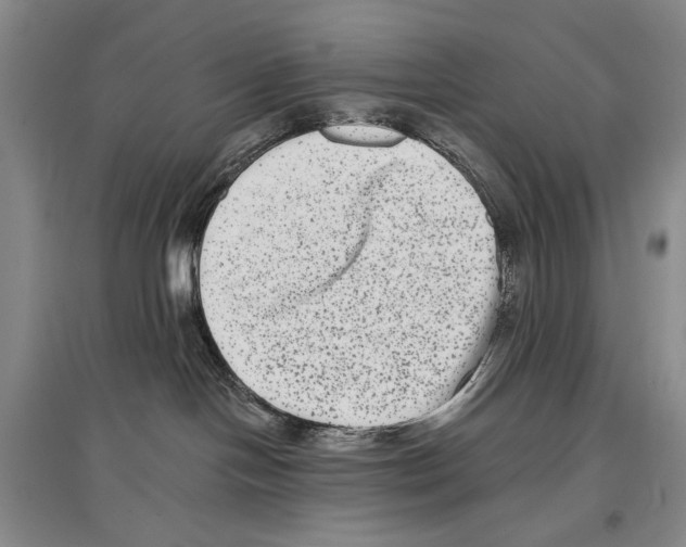 X0000097290094200803141520