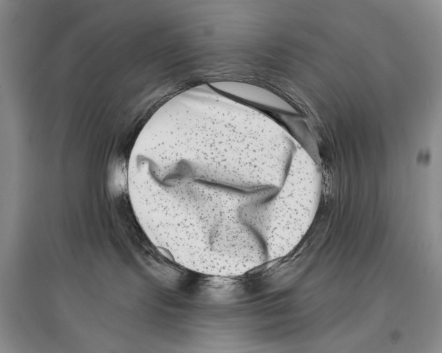X0000097290095200803141520