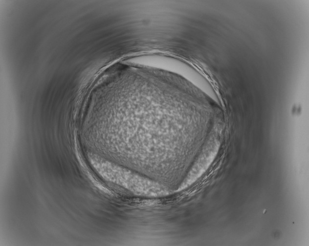 X0000097290097200803141519