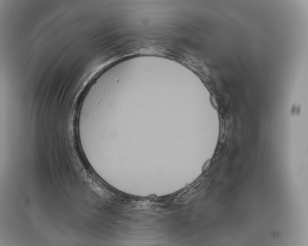 X0000097290098200803141519