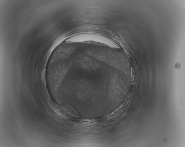 X0000097290099200803141519