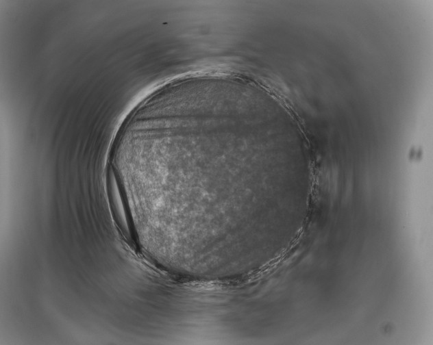 X0000097290100200803141519