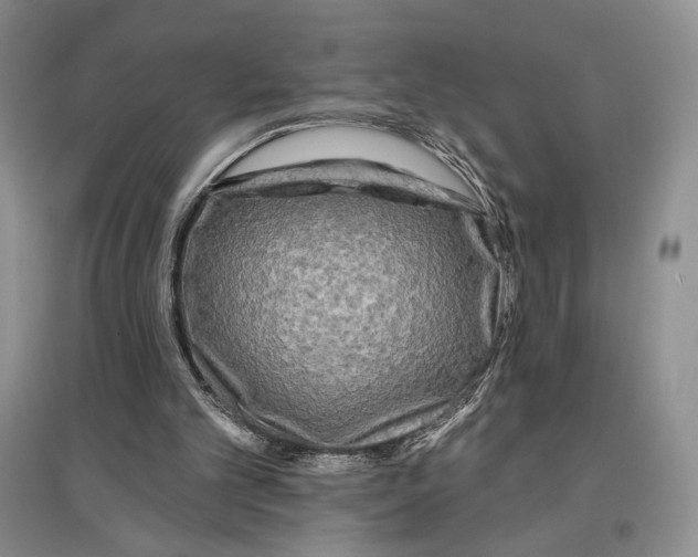 X0000097290101200803141519