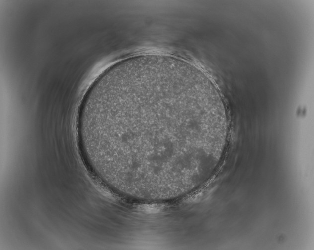 X0000097290103200803141519