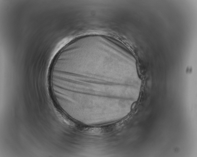X0000097290104200803141519