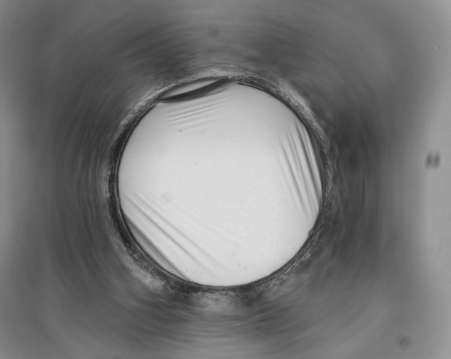 X0000097290106200803141519