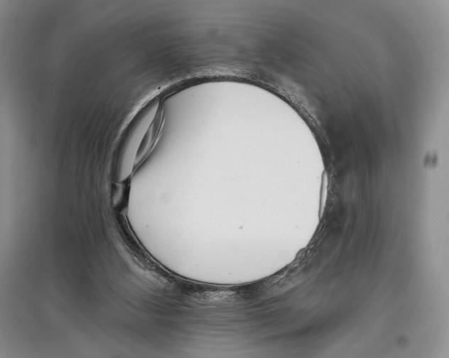 X0000097290108200803141519