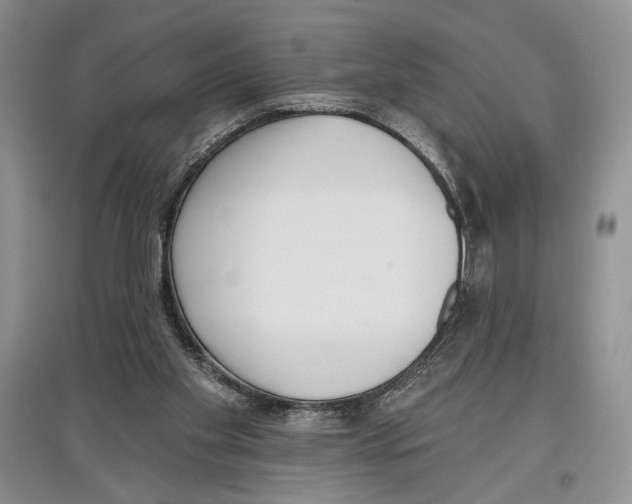 X0000097290109200803141519
