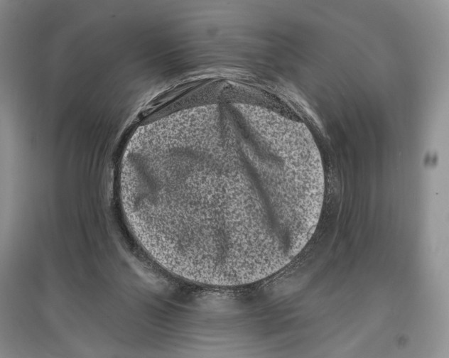 X0000097290110200803141519
