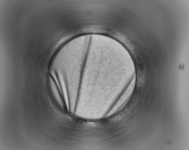 X0000097290111200803141519