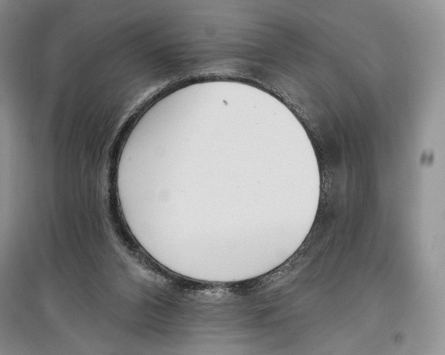 X0000097290112200803141519